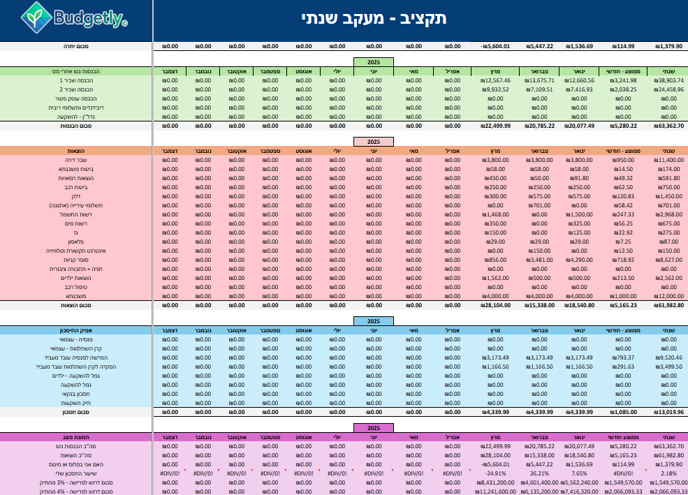 תקציב ומעקב שנתי